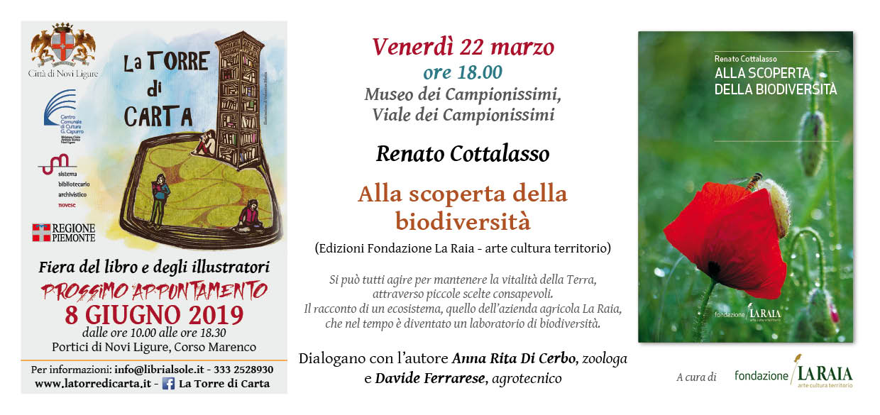 La Torre di Carta, 22 marzo 2019